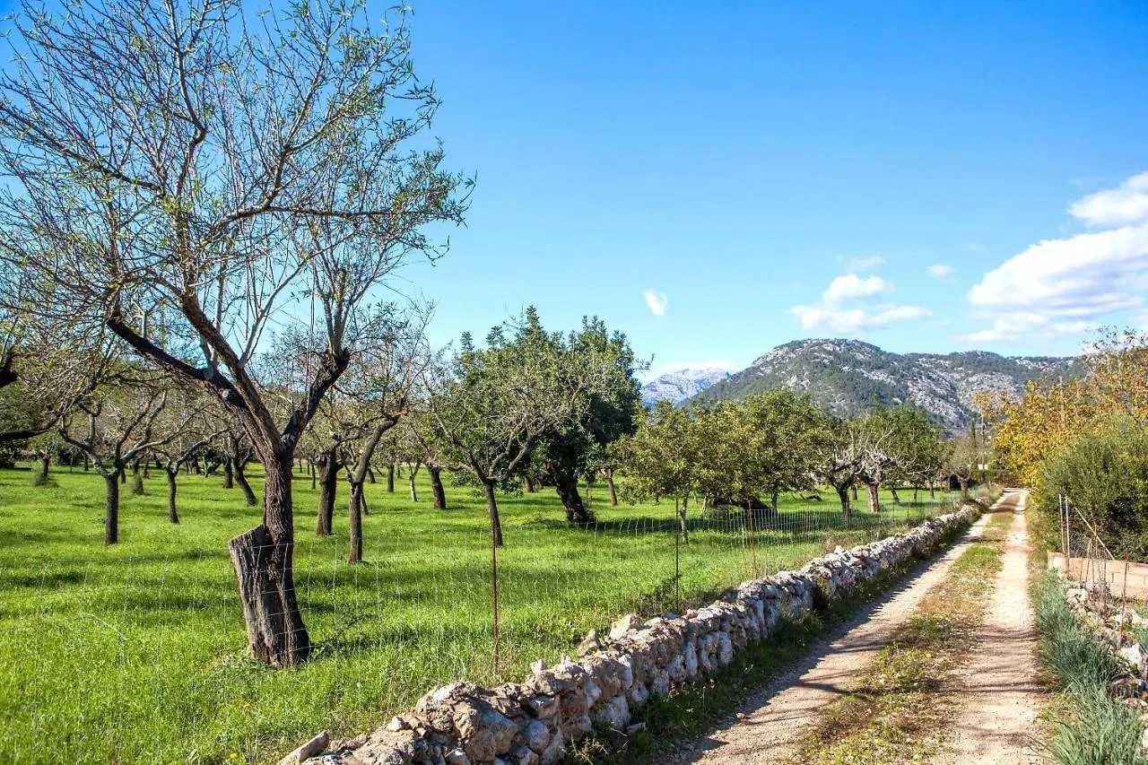 Villa Rote Campanet 0*,